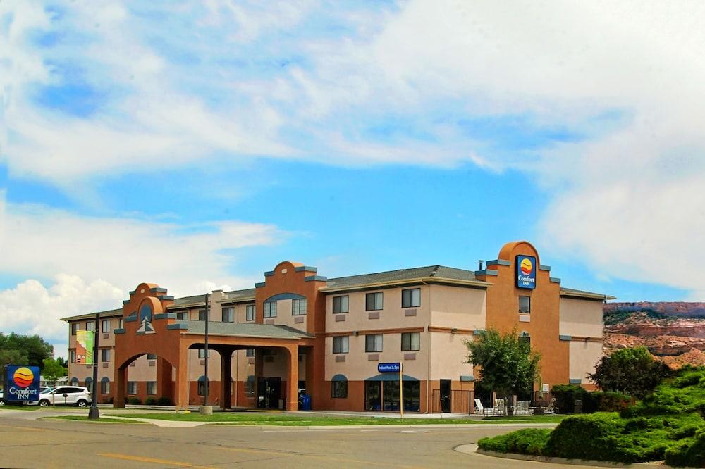 Comfort Inn & Suites Fruita - Grand Junction photo 49