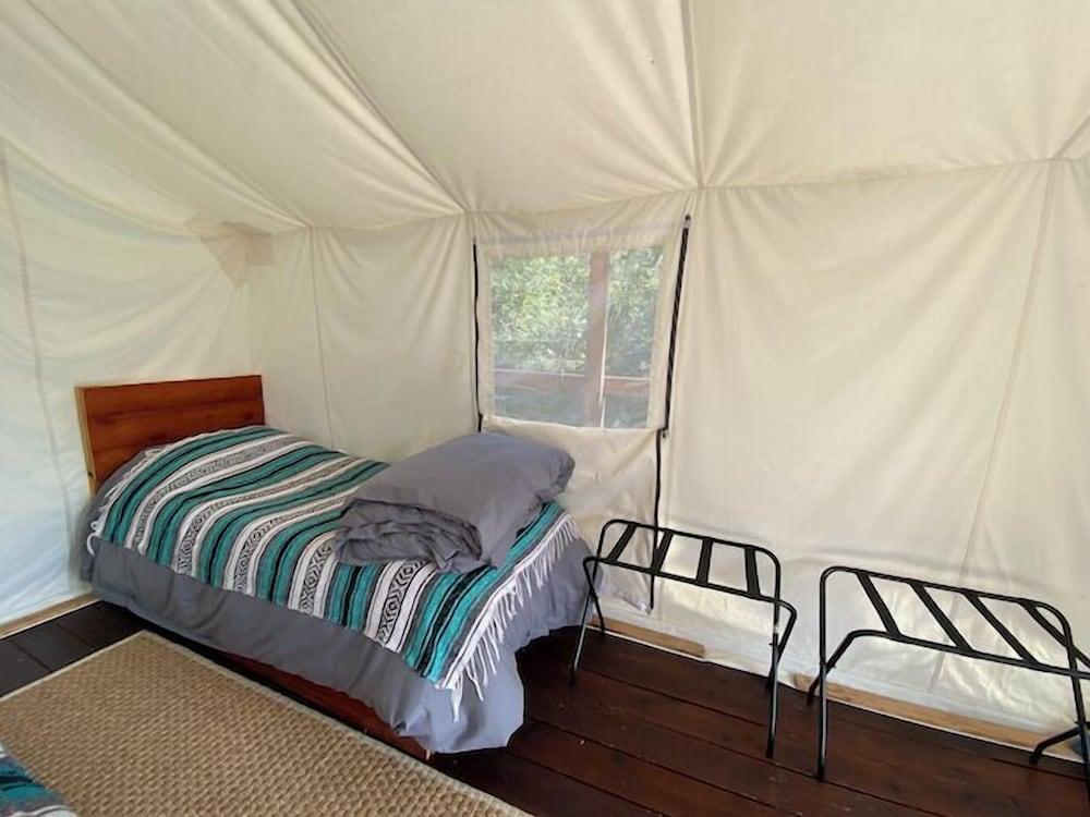 Alpenglow Luxury Camping photo 14