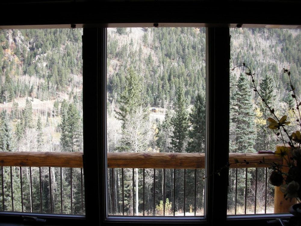 Snow Bear Inn photo 20