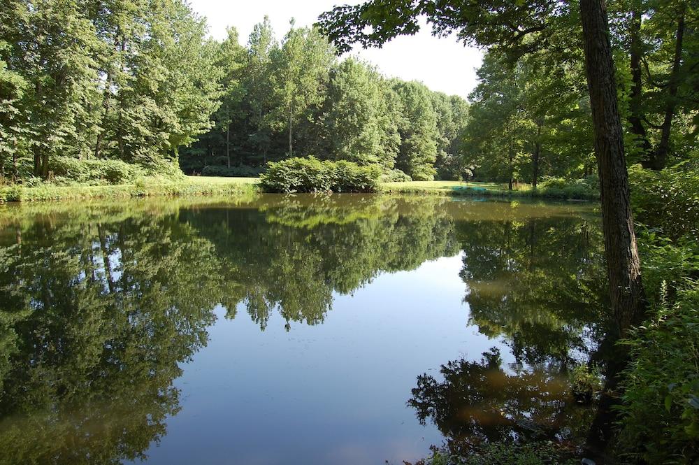 Wellnesste Lodge and Cabin Rentals photo 12