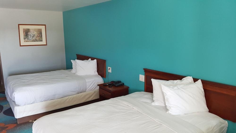 Fortuna Redwood Inn photo 5