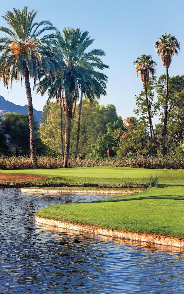 Orange Tree Resort photo 55