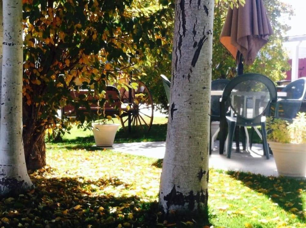 Redwood Motel photo 31