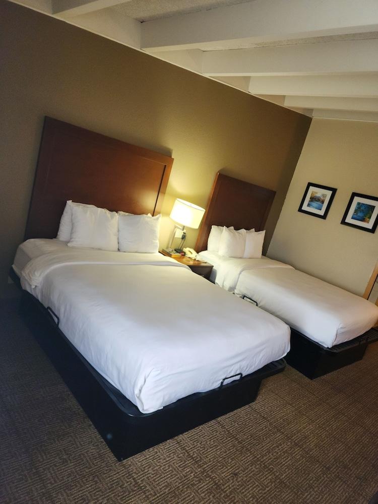Comfort Inn & Suites Madison - Airport photo 19