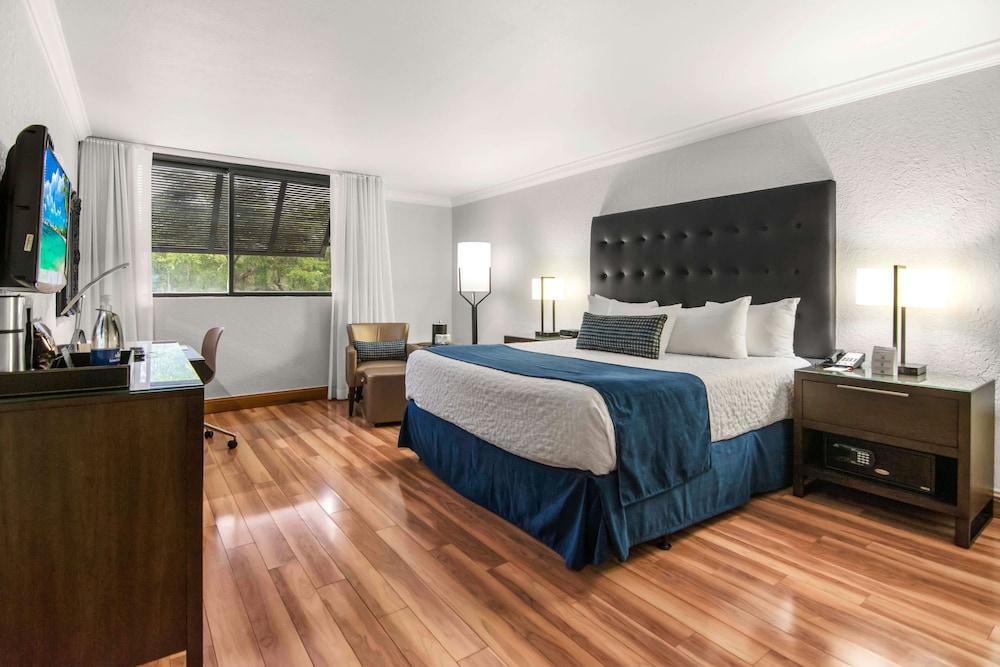 Miami Lakes Hotel photo 36