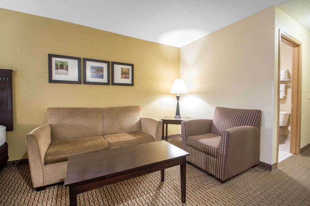 Comfort Suites Wisconsin Dells Area photo 29