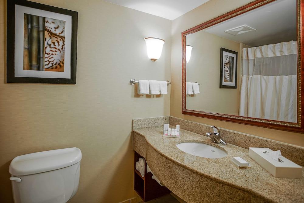 Wyndham Garden Kankakee photo 8
