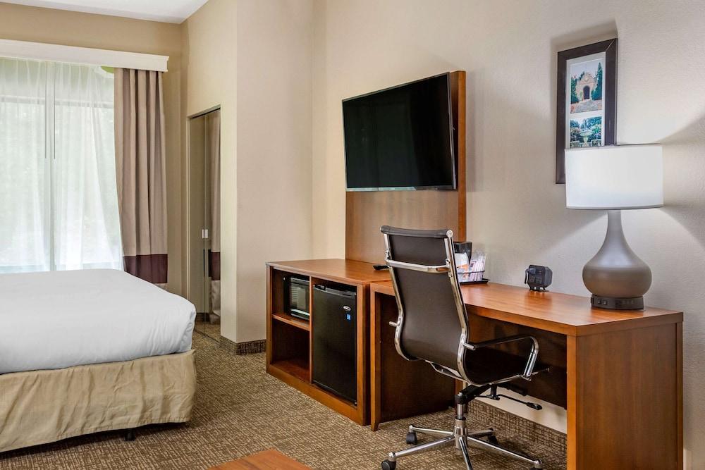 Comfort Suites Clayton - Garner photo 15