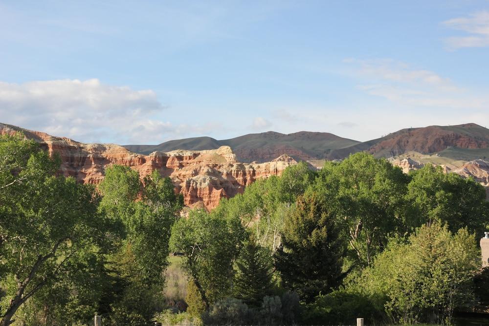 Black Bear Inn photo 53