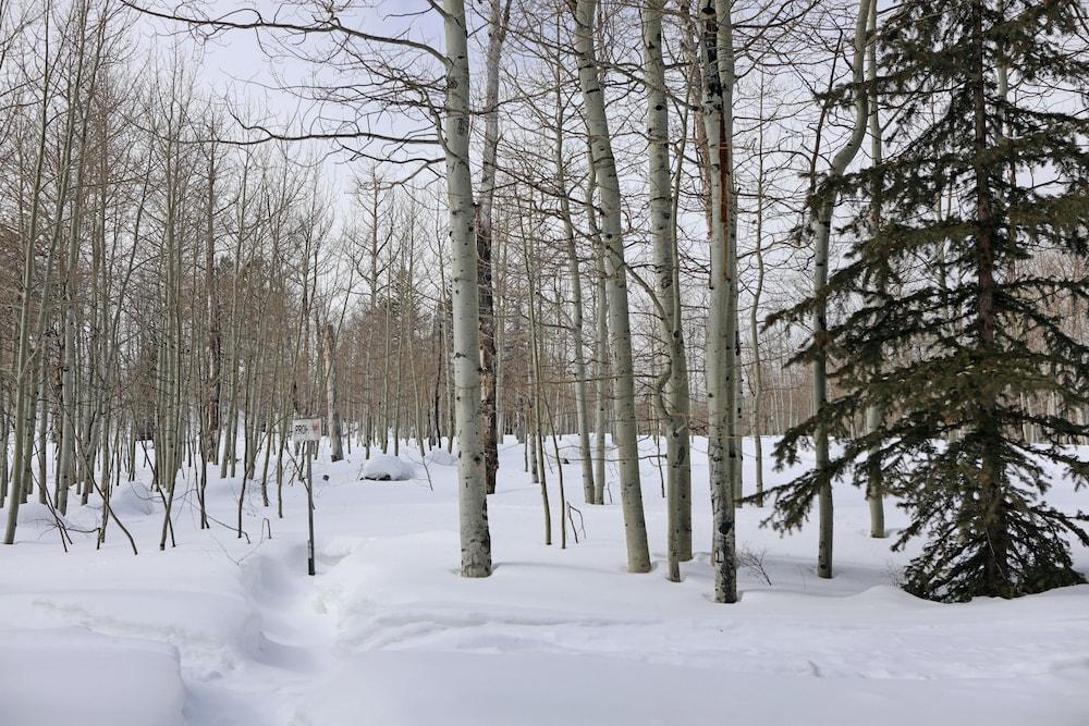 Daniels Summit Lodge photo 15