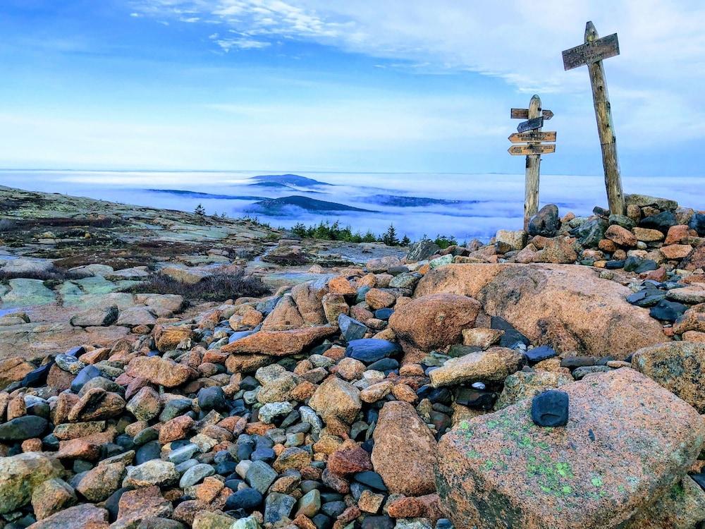 Bar Harbor Inn photo 31