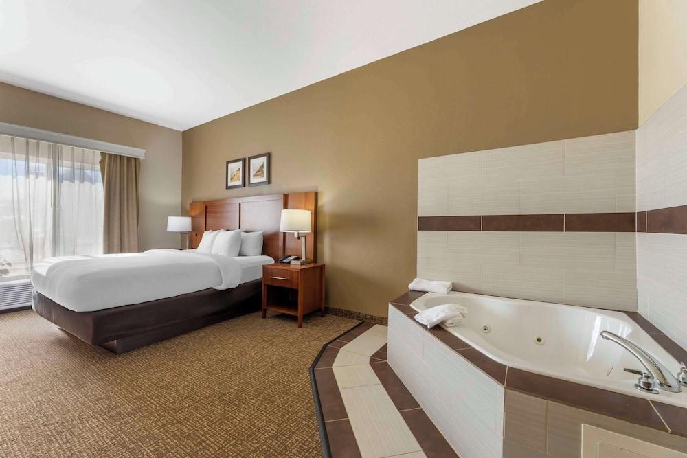Comfort Inn & Suites Porter near Indiana Dunes photo 8