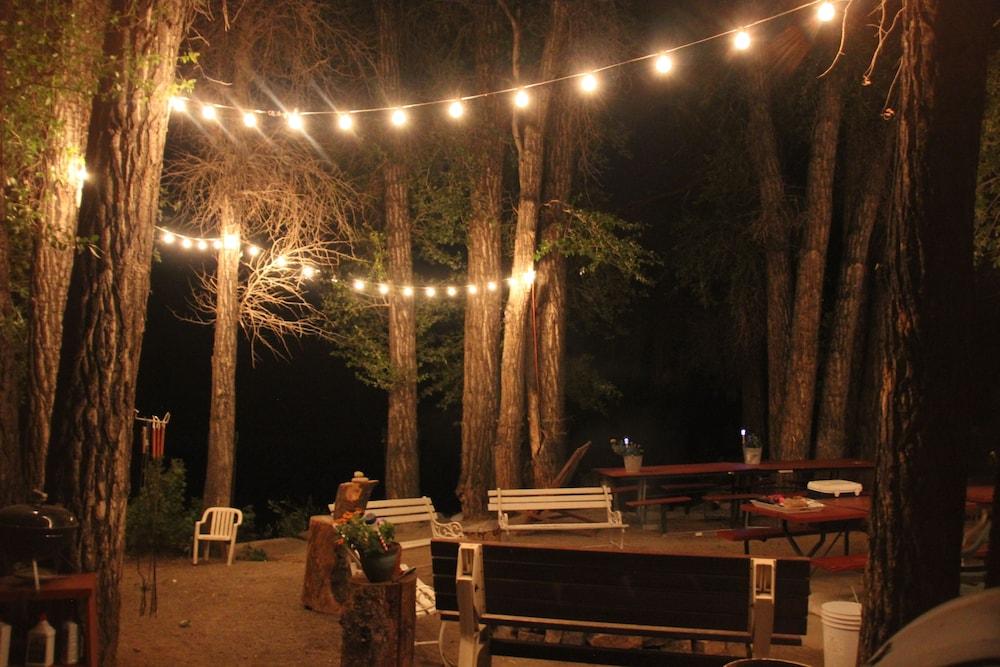 Black Bear Inn photo 39