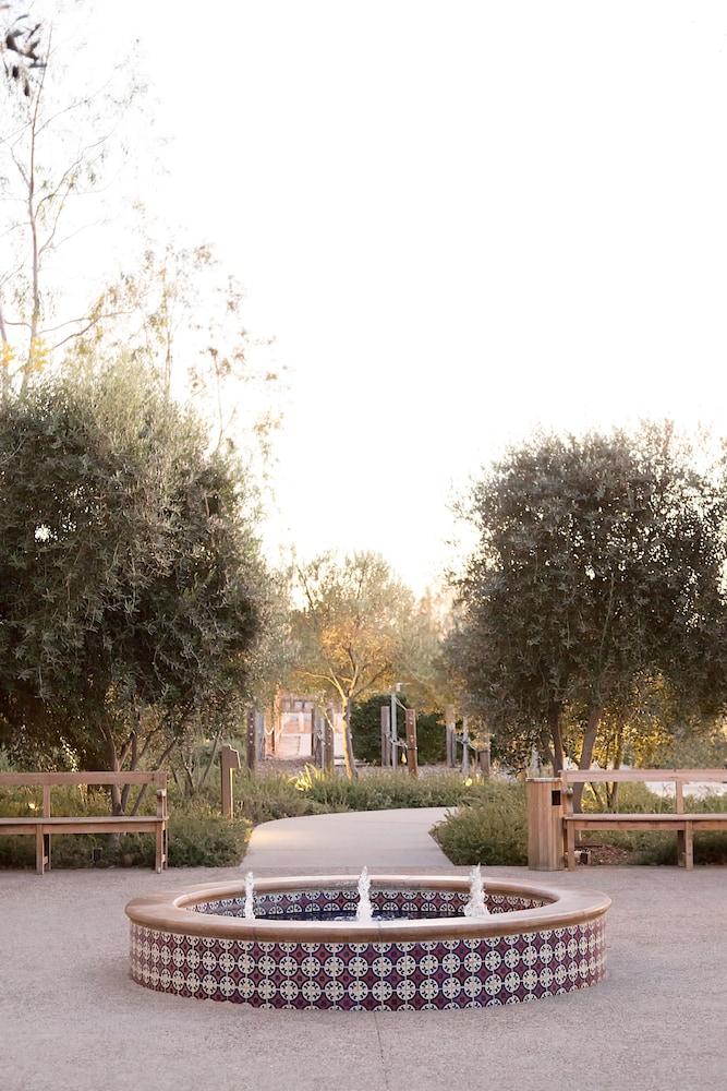 Ponte Vineyard Inn photo 57