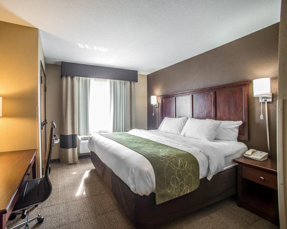 Comfort Suites Columbia - University Area photo 12