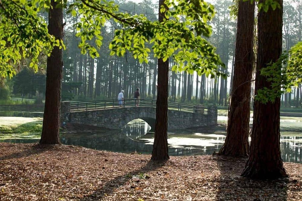 Little Ocmulgee State Park and Lodge photo 12