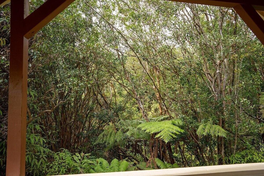 Kikala Waterfall Lodge photo 62