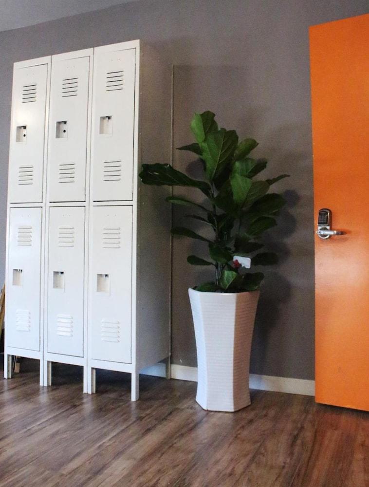 Melrose Hostel photo 4