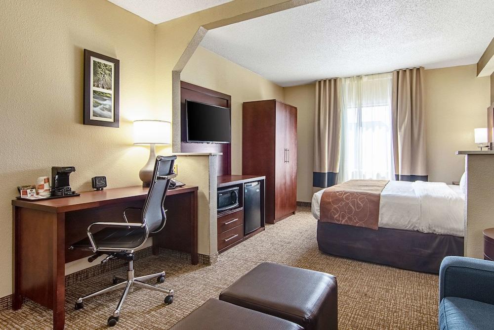 Comfort Suites Knoxville Airport photo 16
