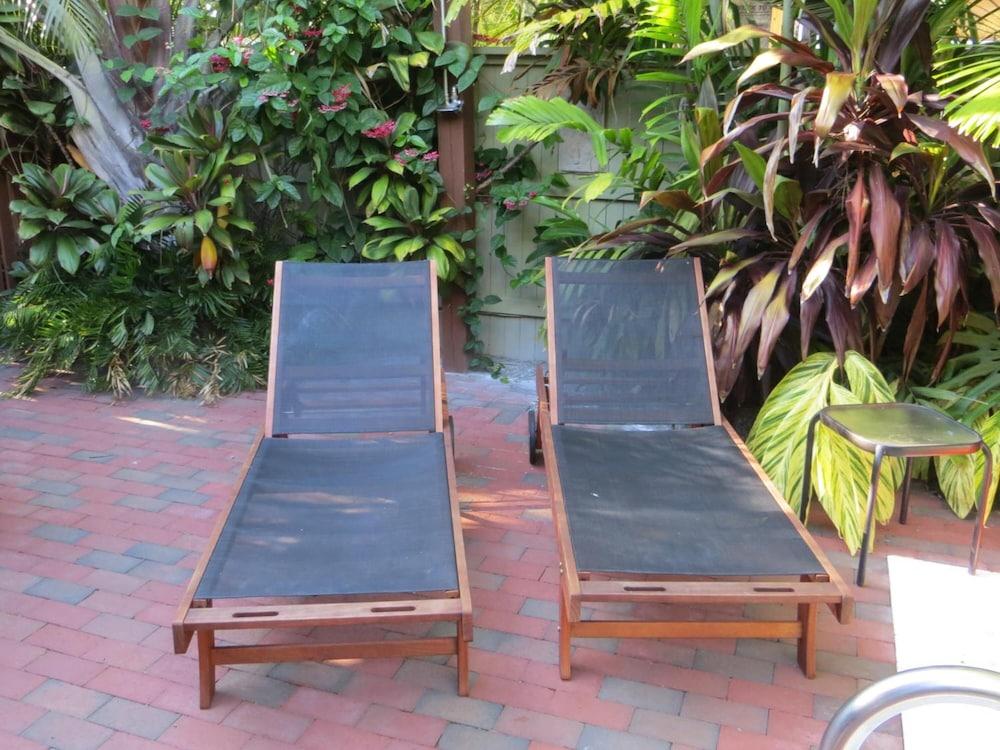Travelers Palm photo 5