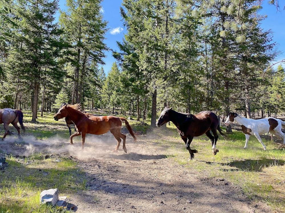 Dream Haven Guest Ranch photo 38