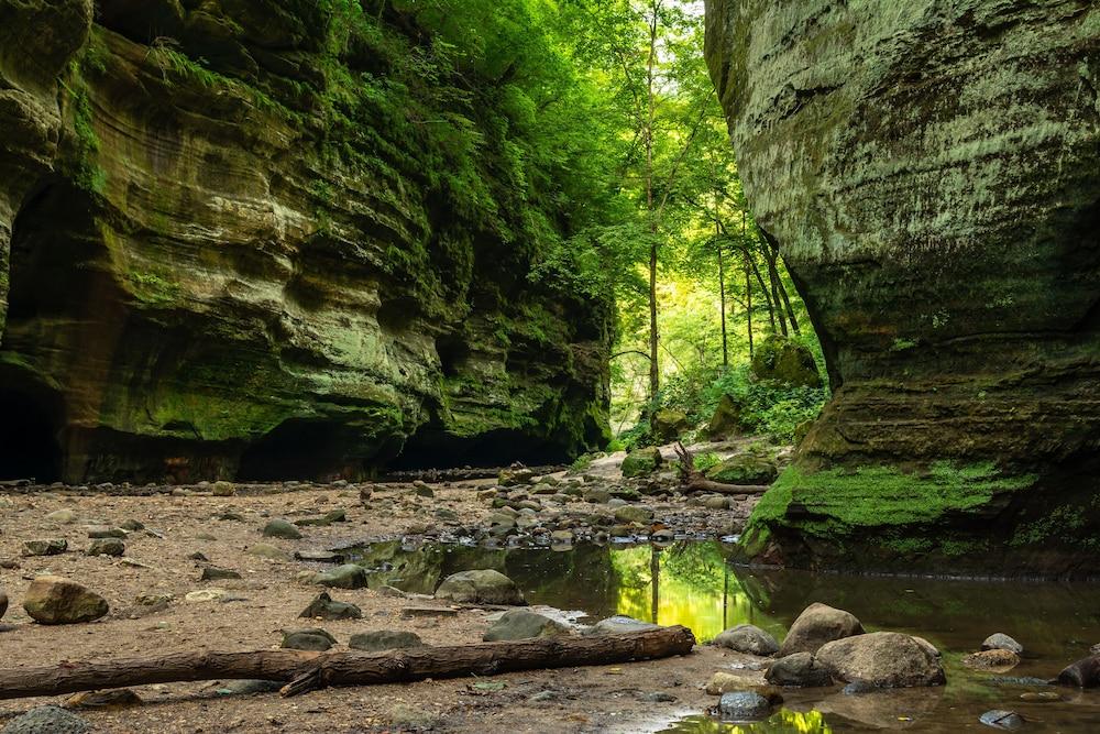 Grand Bear Resort at Starved Rock photo 31