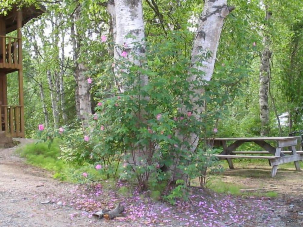 Swiss Alaska Inn photo 18