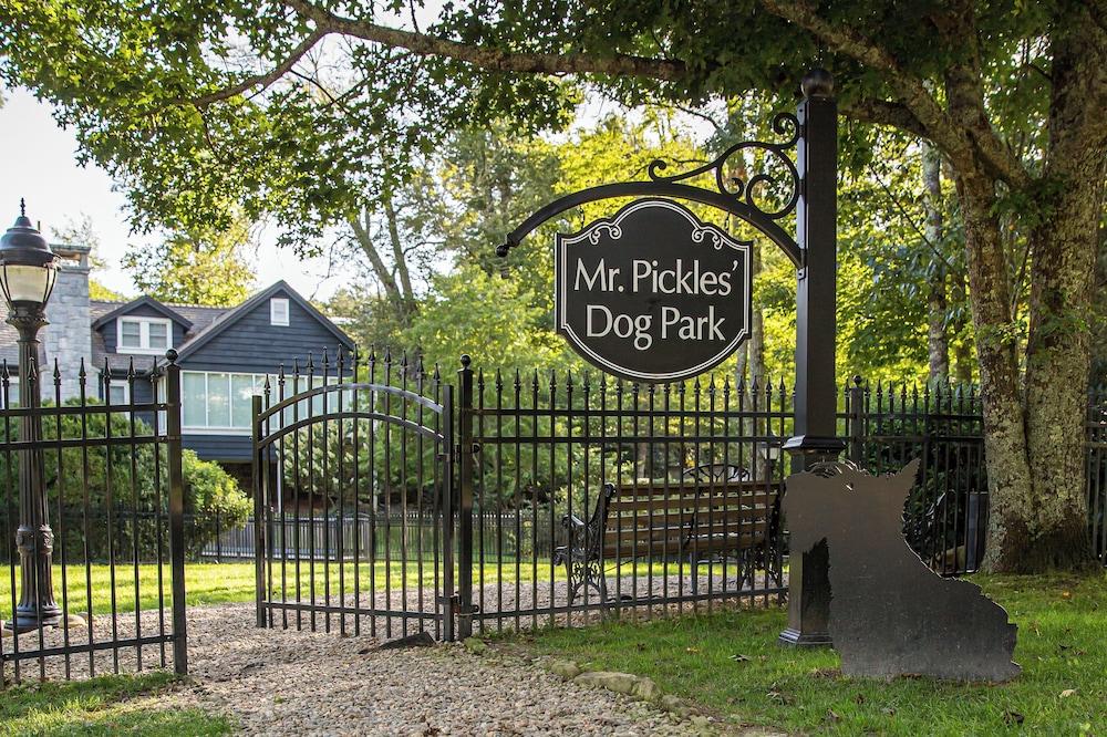 The Park On Main photo 8