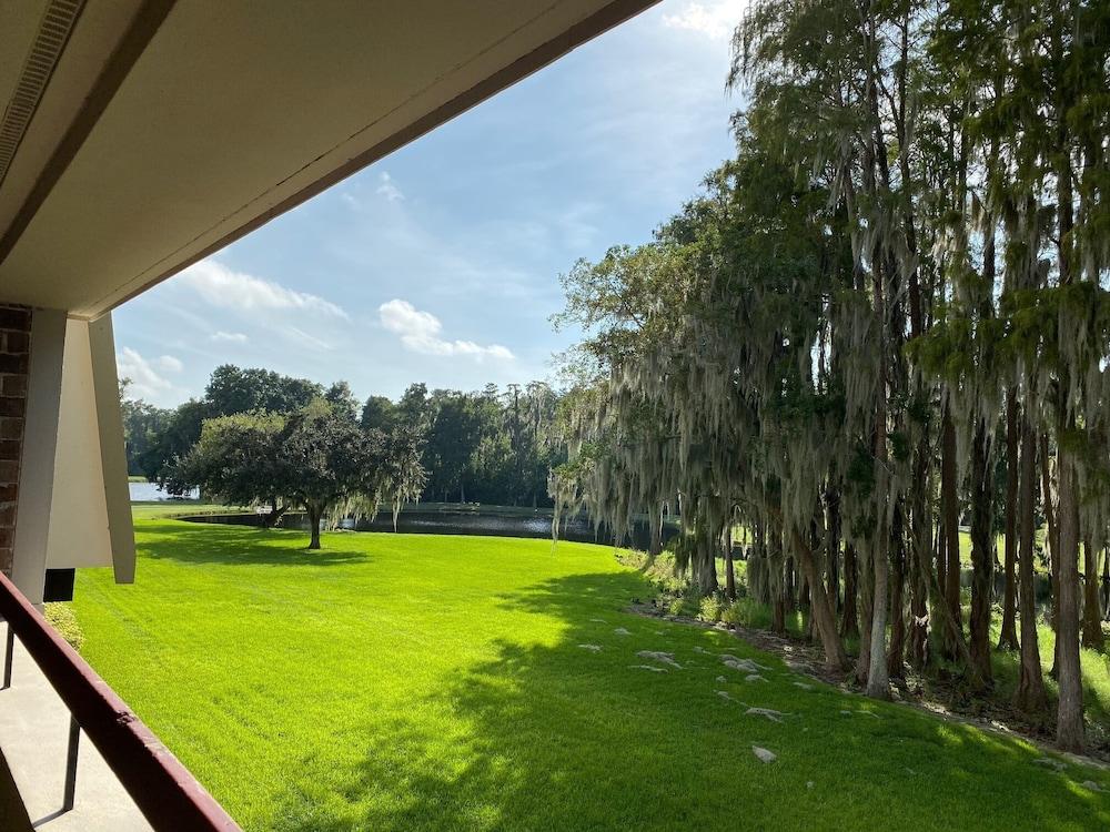 Innisbrook Resort photo 58