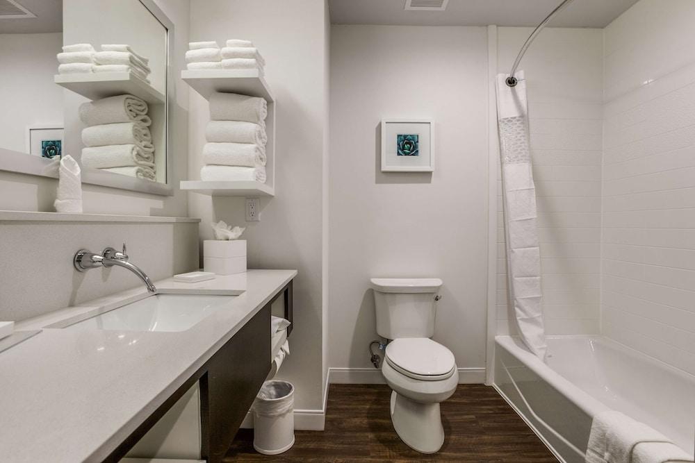Hampton Inn & Suites North Dallas Central Expy photo 21