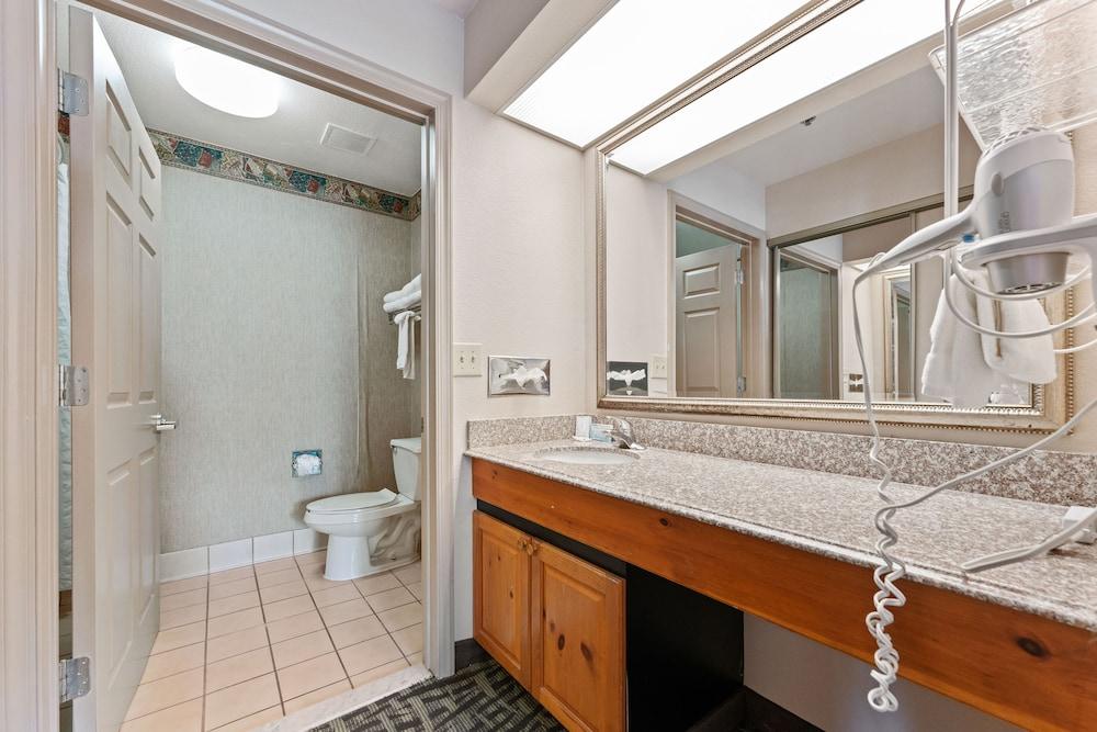 Metro Scottsdale Extended Stay photo 91
