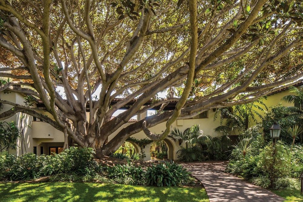 Four Seasons Resort The Biltmore Santa Barbara photo 68