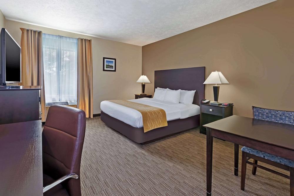 Comfort Inn Whitehall near Michigan's Adventure photo 5