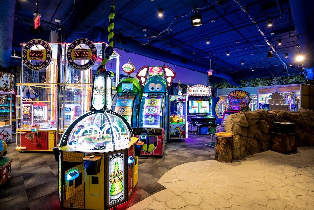 Great Wolf Lodge Illinois photo 60