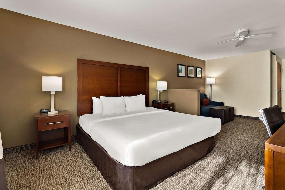 Comfort Inn & Suites Sequoia/Kings Canyon photo 43