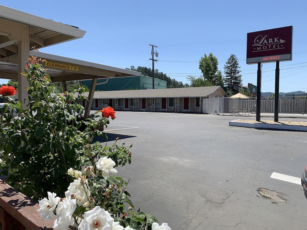 Lark Motel photo 2