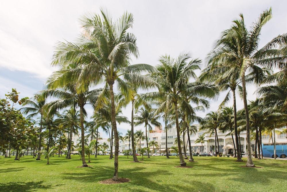 Cardozo Hotel South Beach photo 14