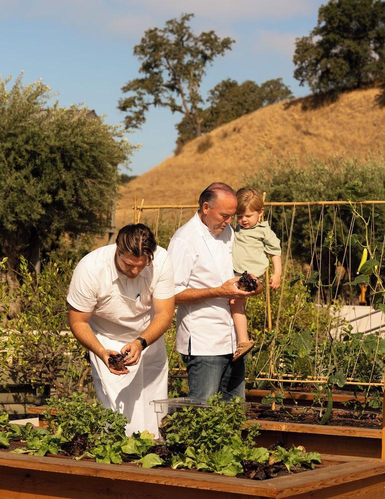 Appellation Healdsburg photo 43
