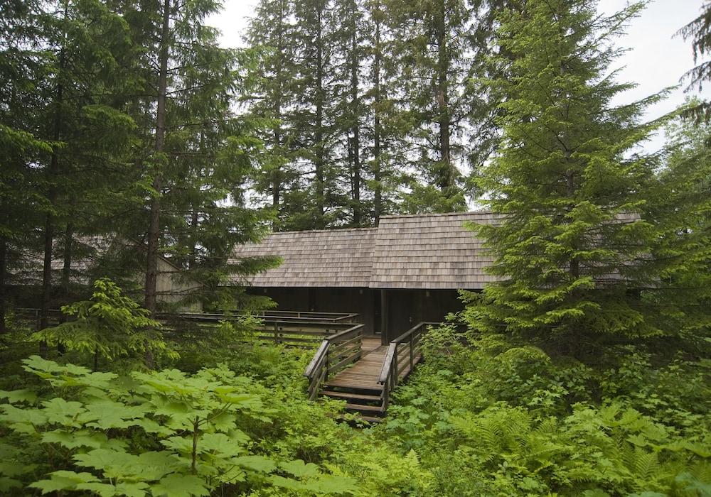 Glacier Bay Lodge photo 29