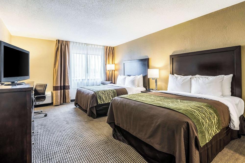 Comfort Inn Detroit Downtown photo 11