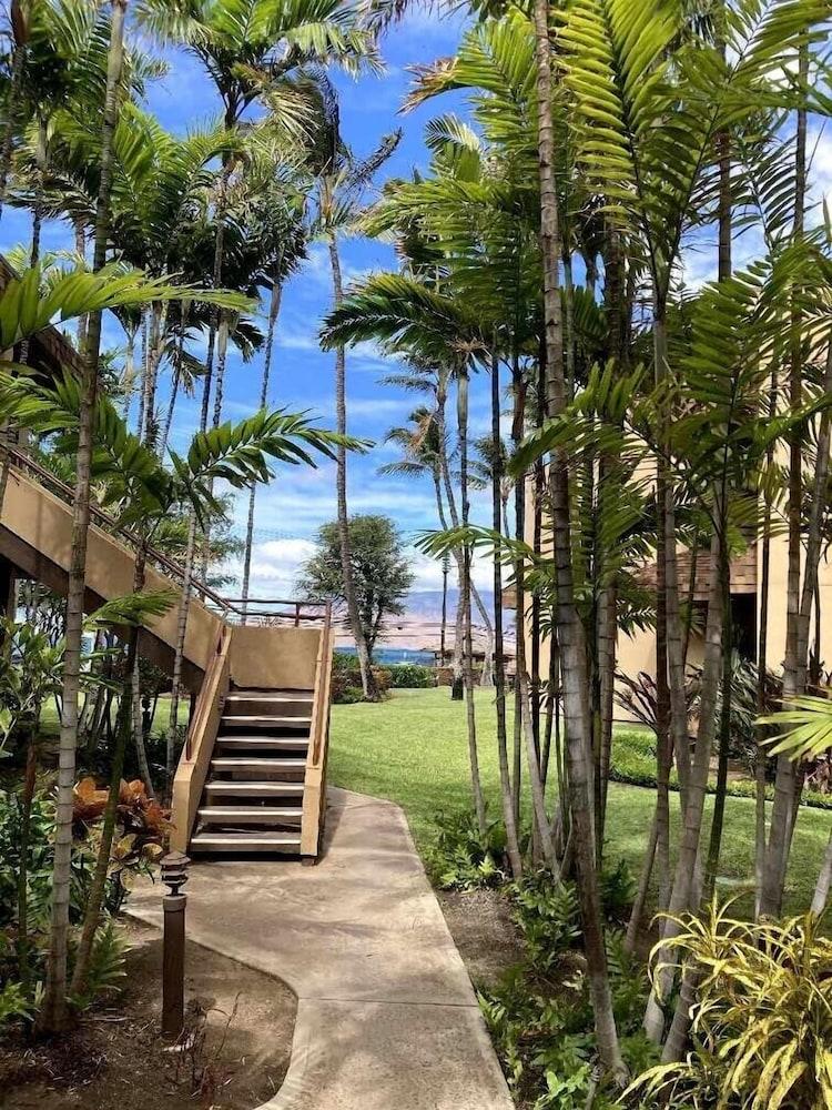 Kamaole Beach Club photo 15