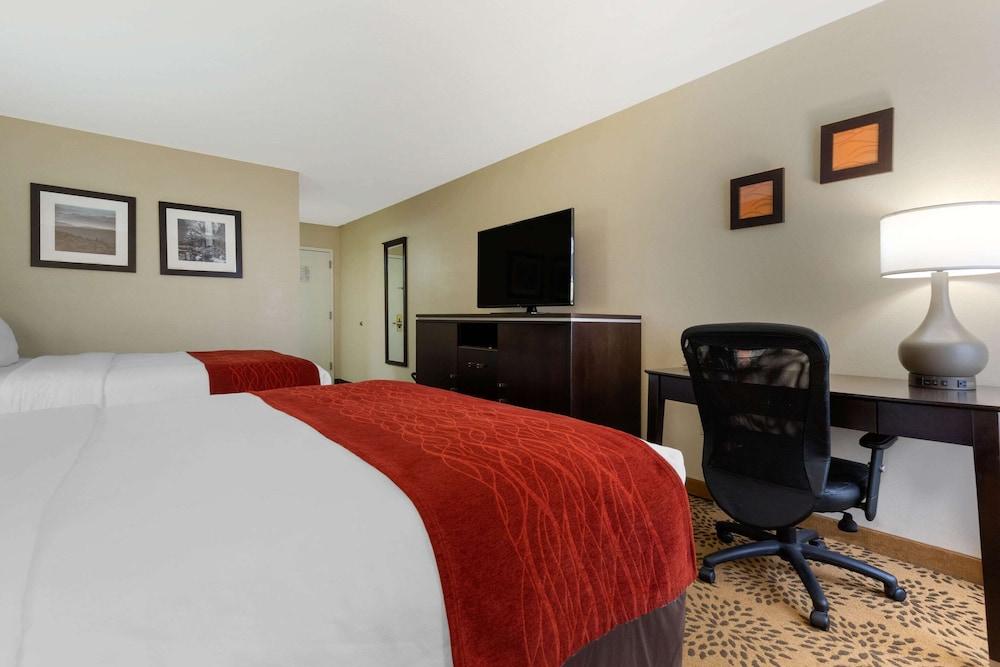 Comfort Inn North of Asheville photo 28