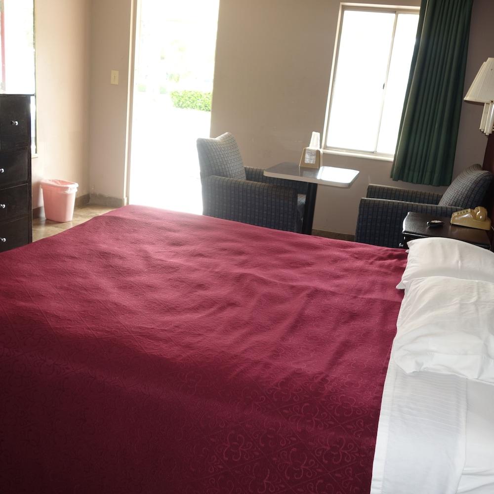 Palm City Motel photo 8