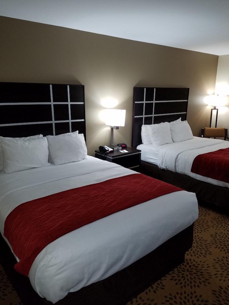 Comfort Inn North of Asheville photo 9