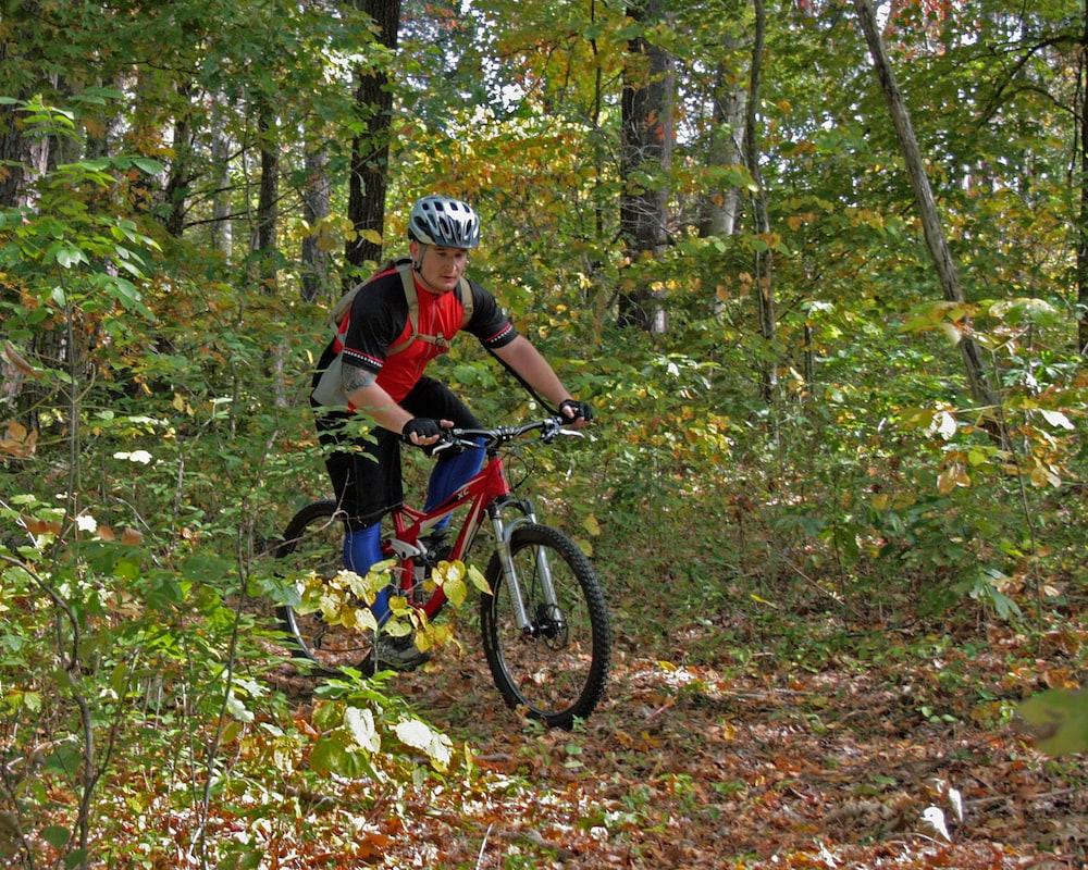 Pennyrile Forest State Resort Park photo 17