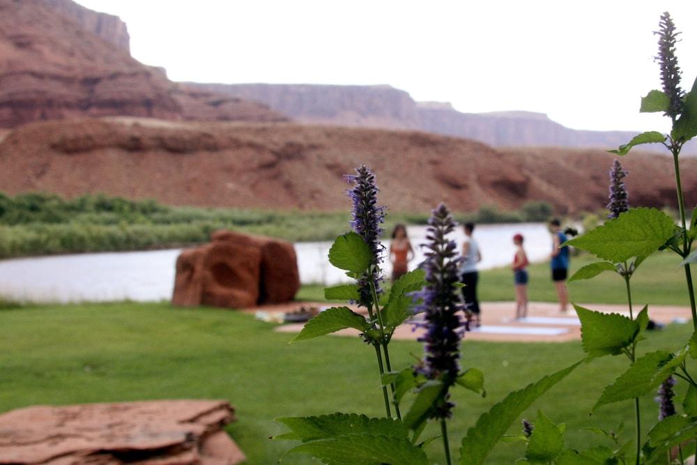 Sorrel River Ranch Resort photo 12