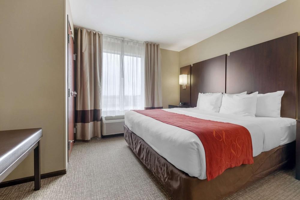 Comfort Suites and Conference Center photo 4