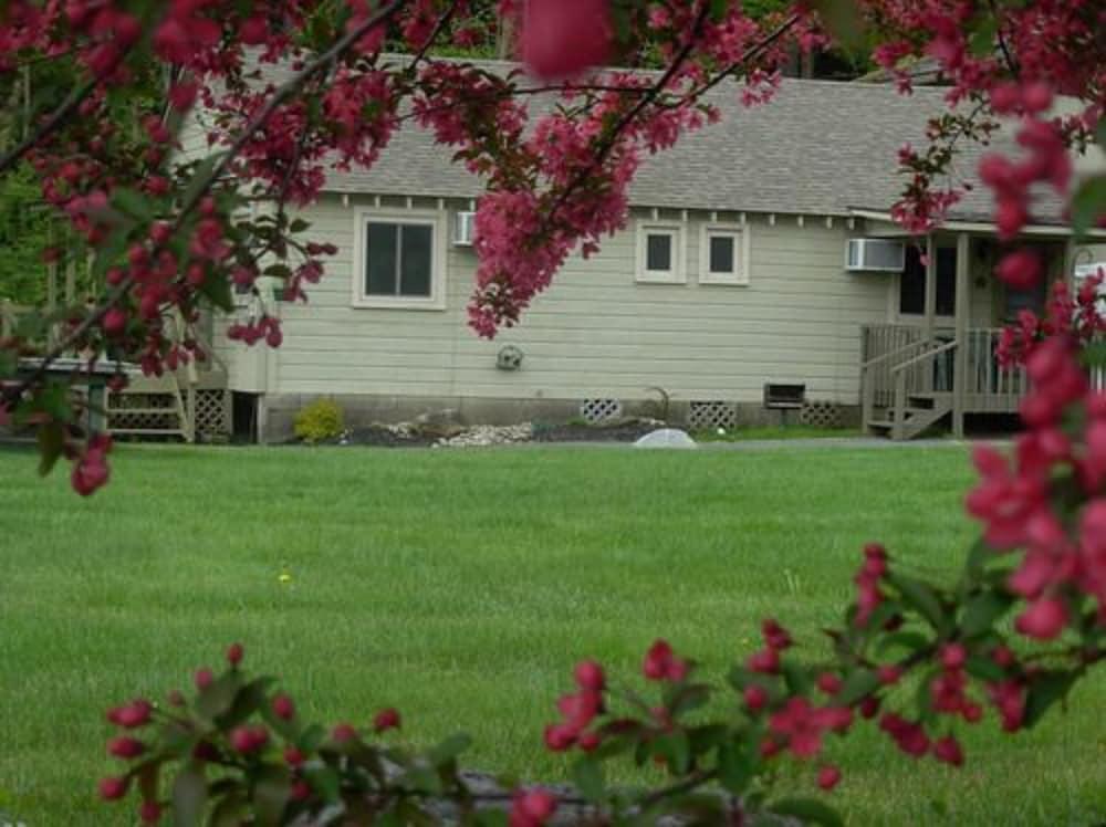 Lake George Diamond Cove photo 39