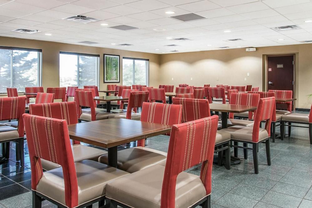 Comfort Suites Wixom - Novi photo 36