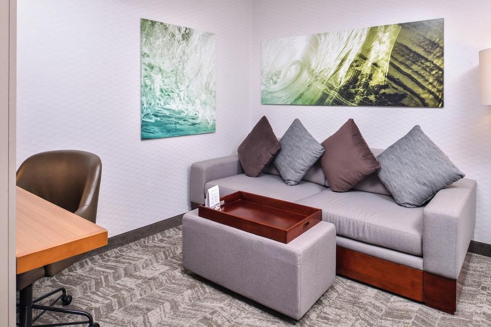 Springhill Suites by Marriott Temecula Wine Country photo 23